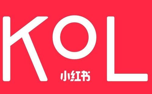 蕓眾科技 借力小紅書KOL達人，打造產品推廣種草與測評新范式